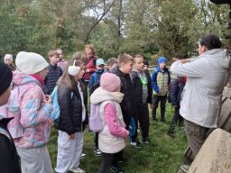 56062375012797267039552751926656408522433272n